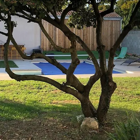 La Maison Du Toucan Vila *